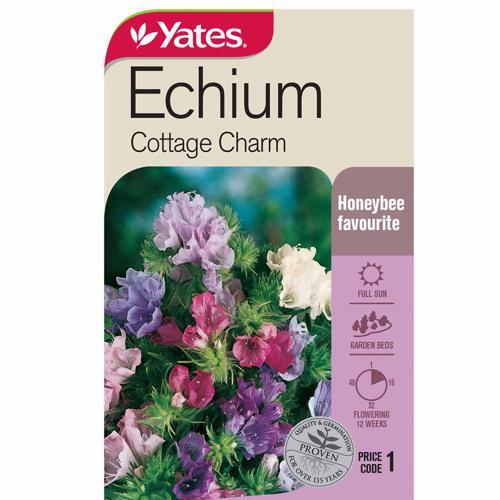 Echium 'Cottage Charm' Seeds - Yates