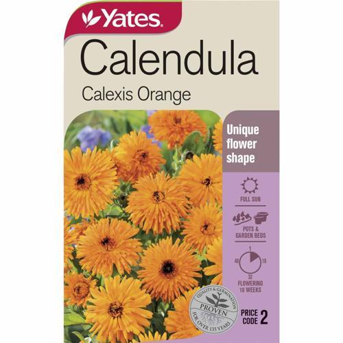 Calendula Calexis Orange Seeds - Yates