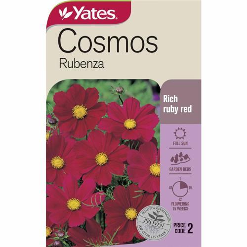 Cosmos Rubenza Seeds - Yates