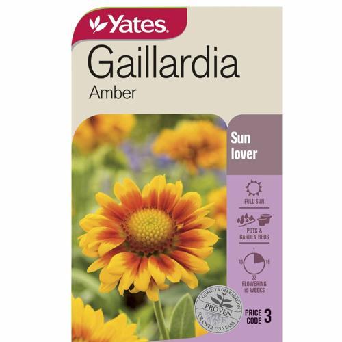 Gaillardia Amber Seeds - Yates