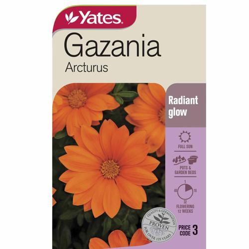 Gazania Arcturus Seeds - Yates
