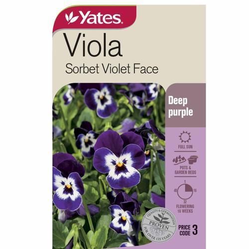 Viola 'Sorbet Violet Face' Violet Seeds - Yates