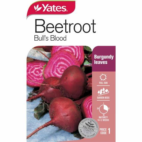 Beetroot Bulls Blood Seeds - Yates
