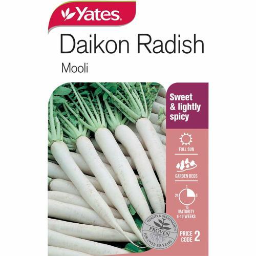 Diakon Radish Seeds - Yates