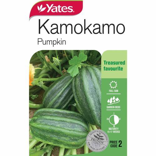 Pumpkin 'Kamokamo' Seeds - Yates