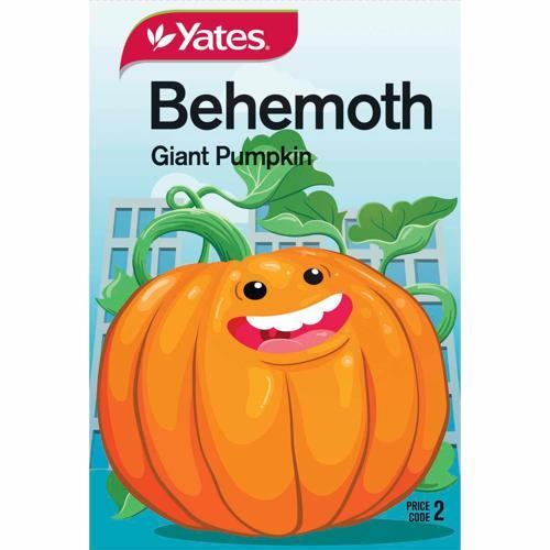Kids Seeds Giant Pumpkin - Yates