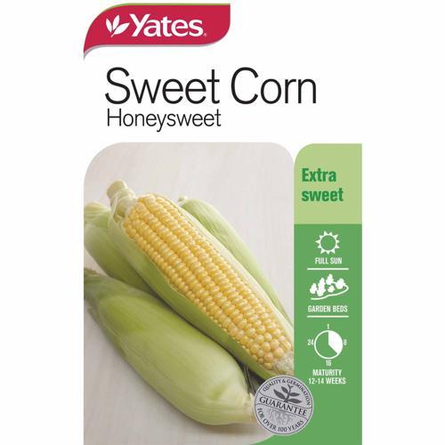 Sweetcorn Honey Sweet Seed - Yates