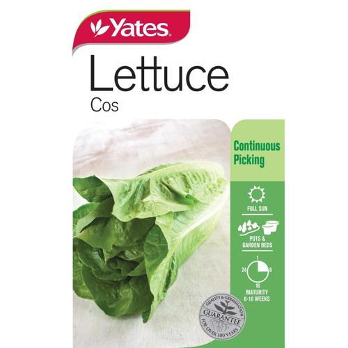 Lettuce 'Cos' Seeds - Yates