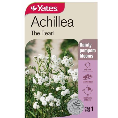 Achillea 'The Pearl' Seeds - Yates
