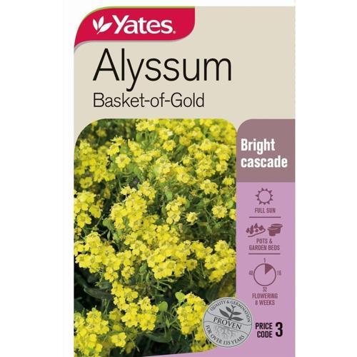 Alyssum 'Basket Of Gold' Seeds - Yates