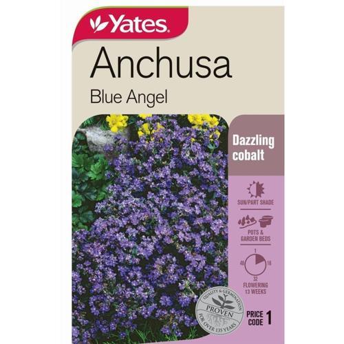 Anchusa 'Blue Angel' Seeds - Yates