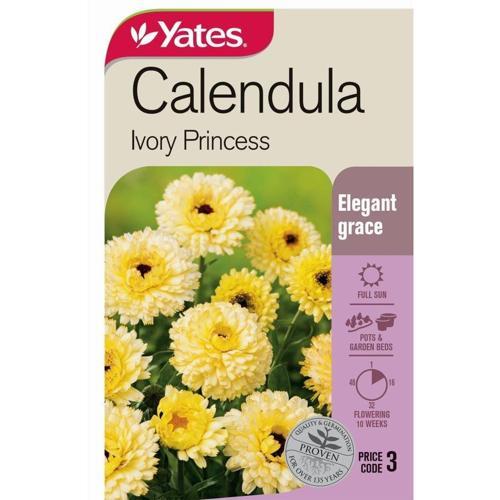 Calendula 'Ivory Princess' Seeds - Yates