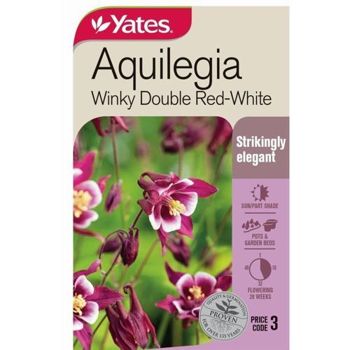 Aquilegia 'Winky Double Red-White' Seeds - Yates
