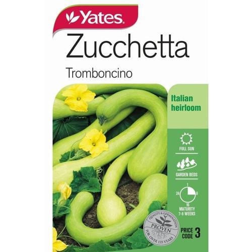 Zucchetta 'Tromboncino' Seeds - Yates