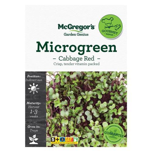 McGregor's Microgreen Cabbage Red Specialty Seed