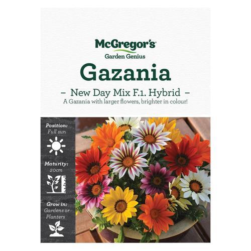 McGregor's Gazania New Day Mix F1 Hybrid Seeds