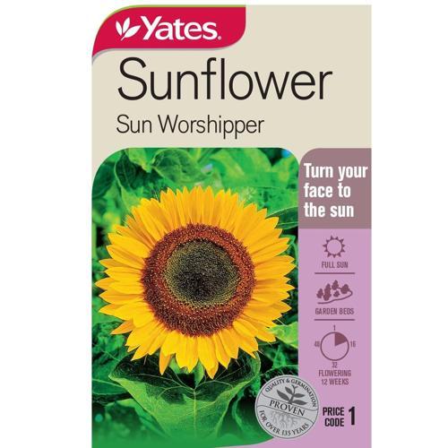 Yates Seeds Sunflower Sun Worshipper