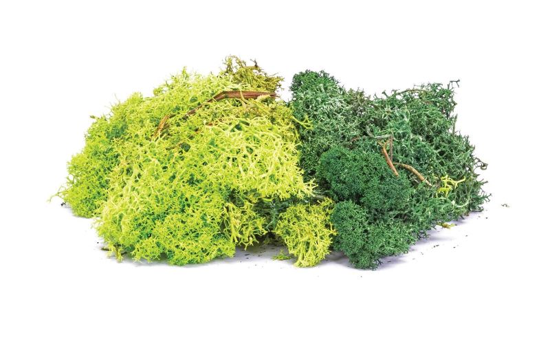 Lichen Green Mix by Hornby, ideal for adding realistic greenery to model train layouts and dioramas.