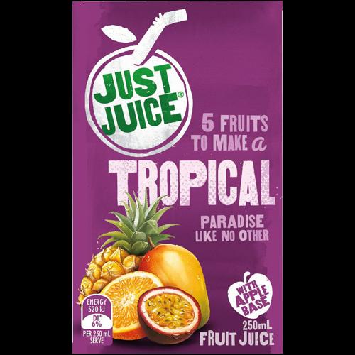 Just Juice Tropical Fruit Juice 24 x 250ml