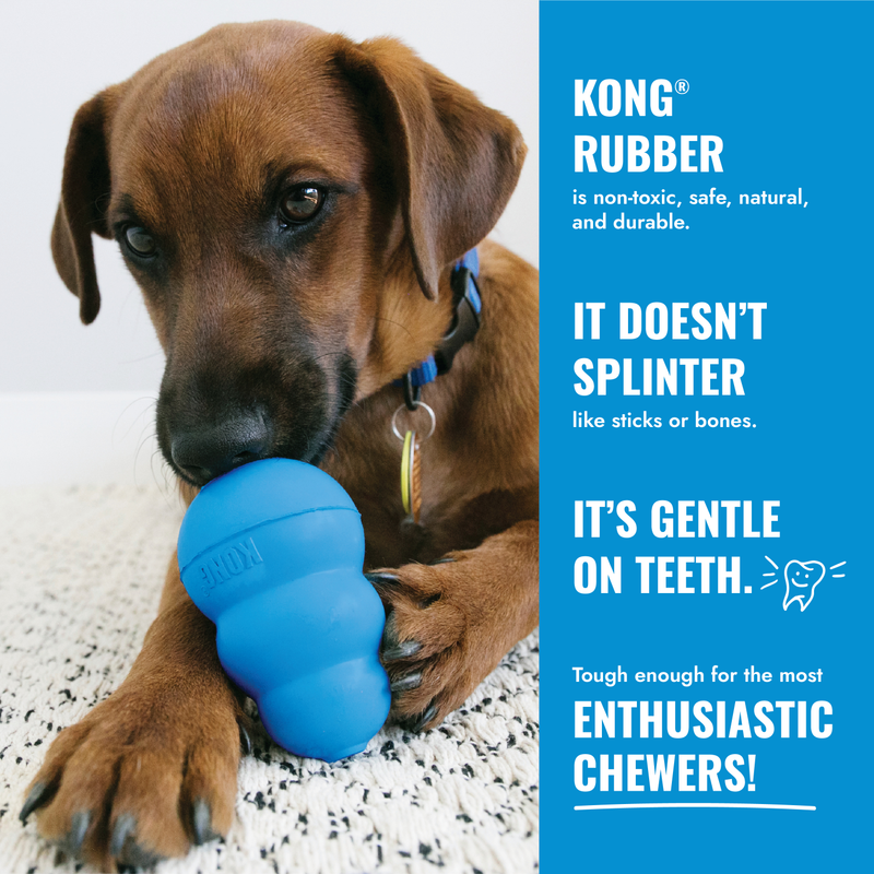 Dog Toy - KONG Puppy Tires (Med/Large)