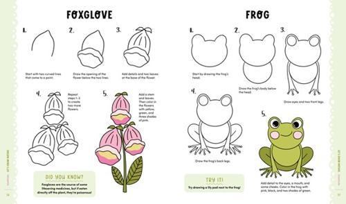 KindKids Lets Draw Nature - Nature Book - by Mandy Ford - Paperback