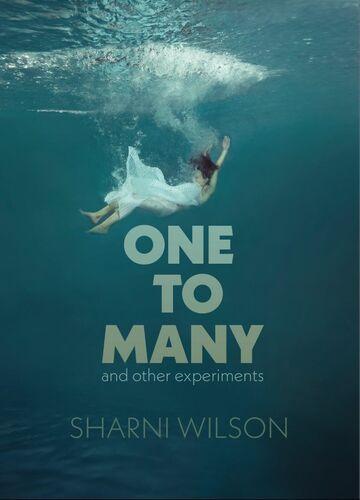 One To Many - by Sharni Wilson - Paperback