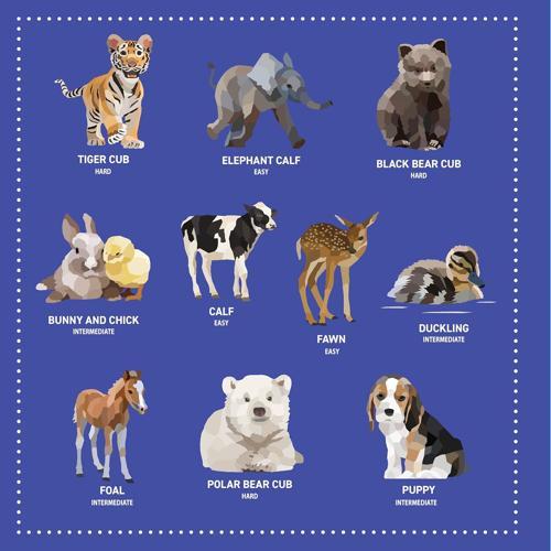 My Sticker Paintings Baby Animals - Nature Book - by Logan Powell - Paperback
