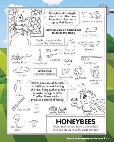 Hidden Picture Puzzles on the Farm - Children's Book - by Liz Ball - Paperback