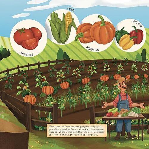 Discovering the Busy Life on the Farm - Children's Board Book - by TJ McAllister