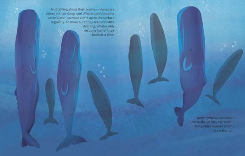 Are Whales and Dolphins Smarter Than Humans - Children's Book - by Eliza Jeffery