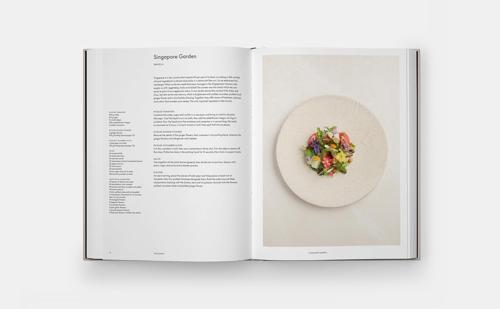 Odette - by Julien Royer - Hardcover