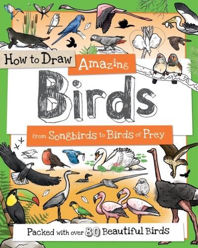How To Draw Amazing Birds - Nature Book - by Toby Reynolds - Paperback