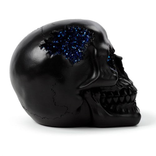Ornament - Black Crystal Cave Skull (Set of 2 Assorted)