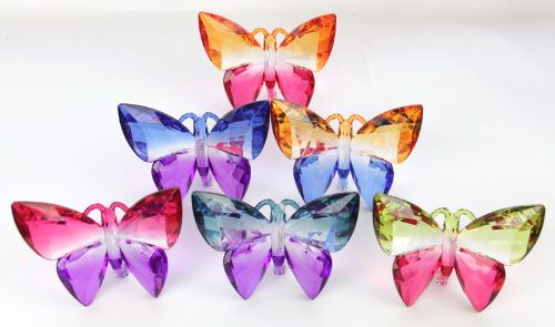 Standing 2 Tone Bfly Set Of 6