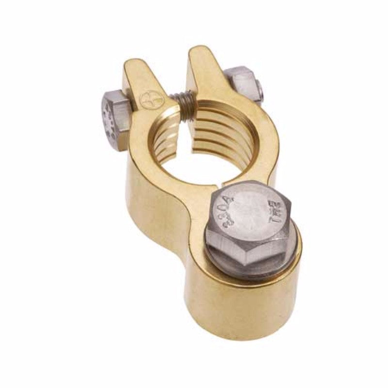 Projecta -Term F/Hd Brass Stud Pos Pk10
