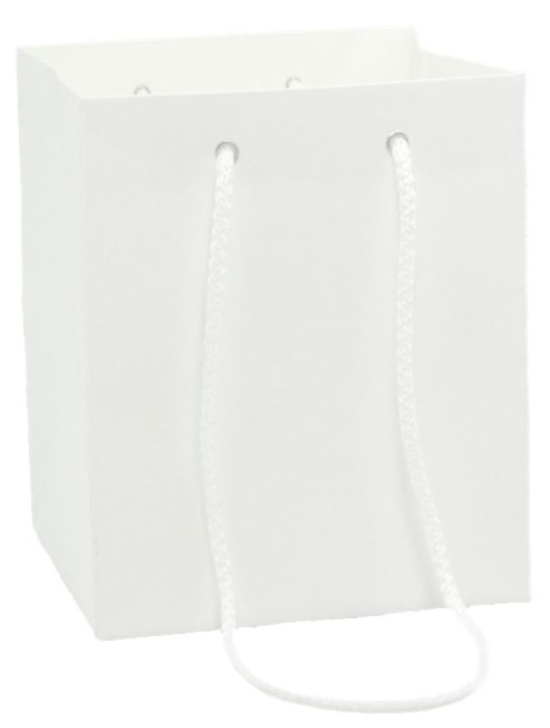 Tall Paper Kraft Bag - White 21cm (Pack of 10)