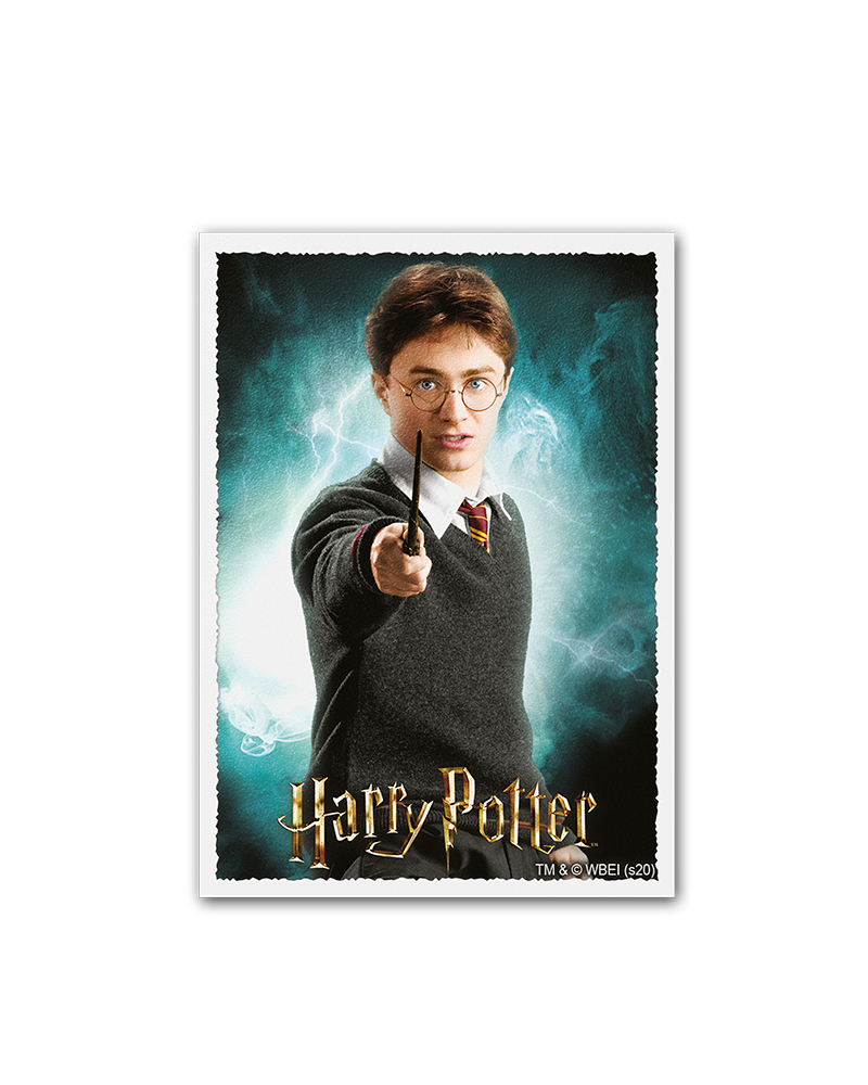 Dragon Shield: Sleeves - Matte Art - WizardingWorld: Harry Potter