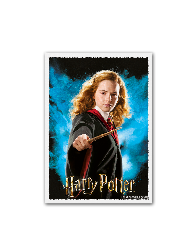 Dragon Shield: Sleeves - Matte Art - WizardingWorld: Hermoine Granger