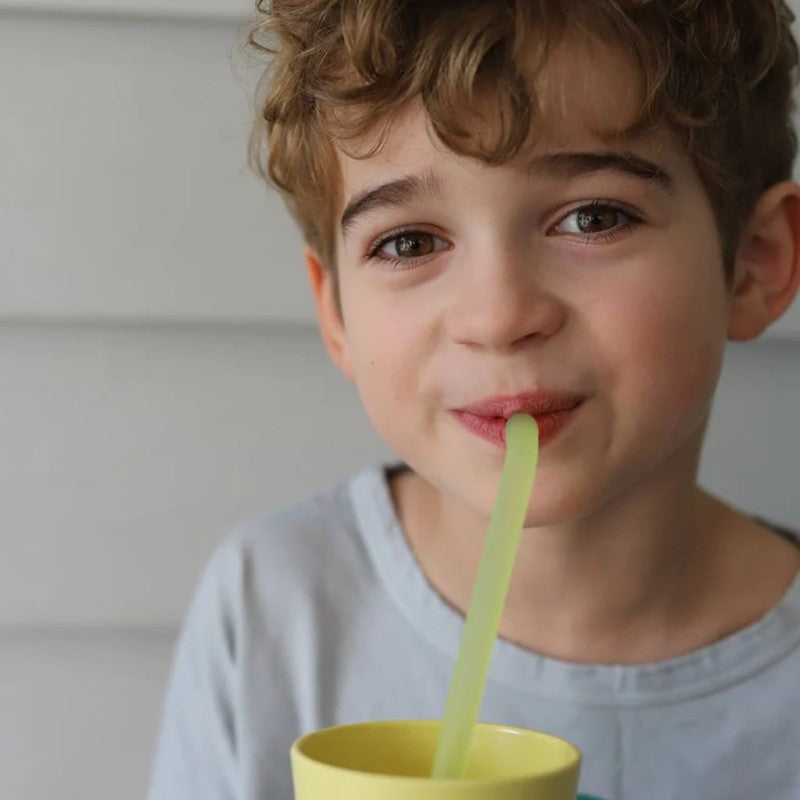 B.BOX SILICONE STRAW 5PC VERY BERRY