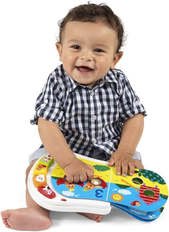 CHICCO COUNTING FARM