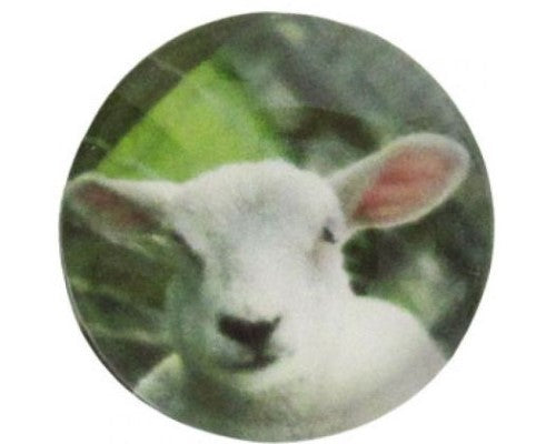 Snaps REDFOX - Snap-Cheeky Lamb