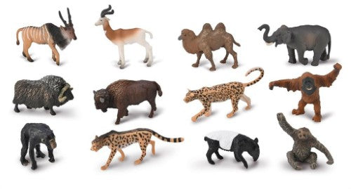 Figurine - CollectA Box of Mini Wild Animals -2