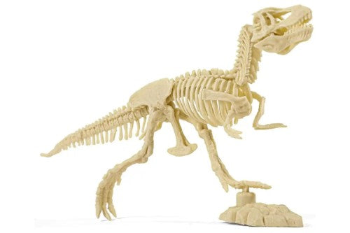 Dig Kits - Piano Potato Tyrannosaurus