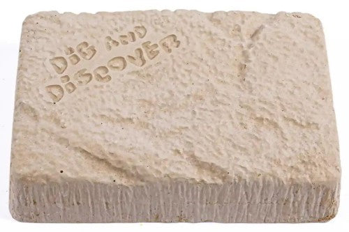 Dig Kits - Piano Potato Stegosaurus