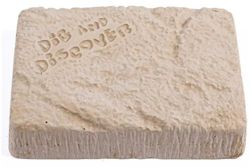 Dig Kits - Piano Potato Diplodocus