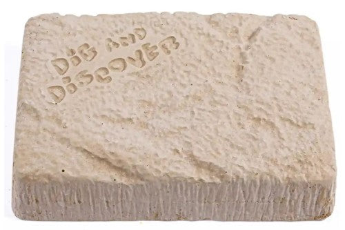 Dig Kits - Piano Potato Pliosaurus