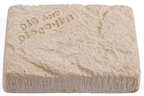 Dig Kits - Piano Potato Smilodon Saber-Tooth Tiger