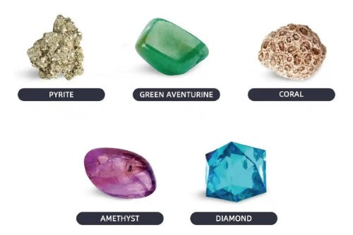 Dig Kit - Piano Potato Earth