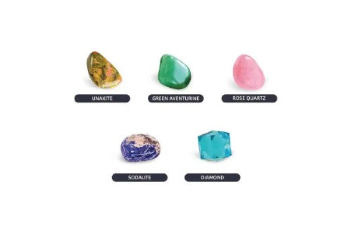 Dig Kit - Piano Potato Neptune