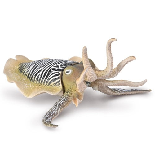 Figurine - CollectA Common Cuttlefish